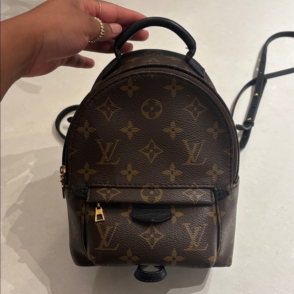 Louis Vuitton Palm Springs Mini